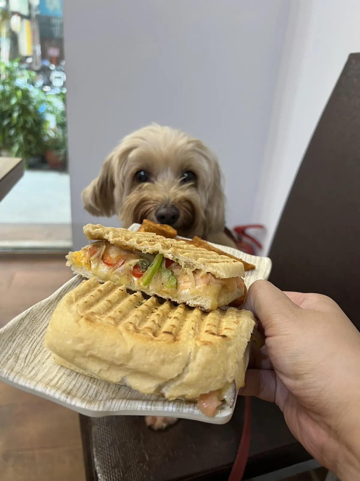 皮老闆／晚餐.宵夜專賣 (炒飯/燴麵/非寵物友善/只供外帶)