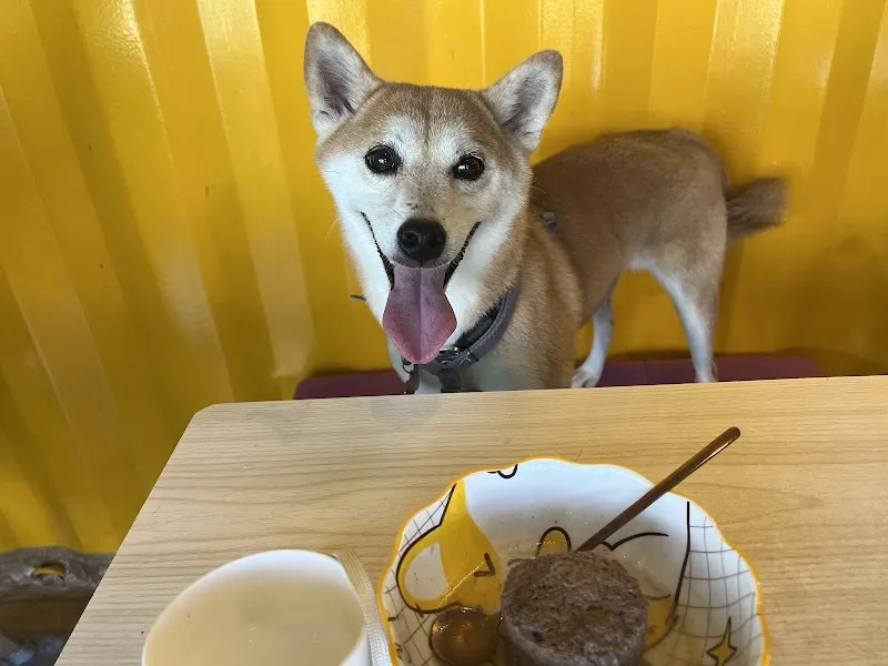 紫蘿蘭寵物餐廳