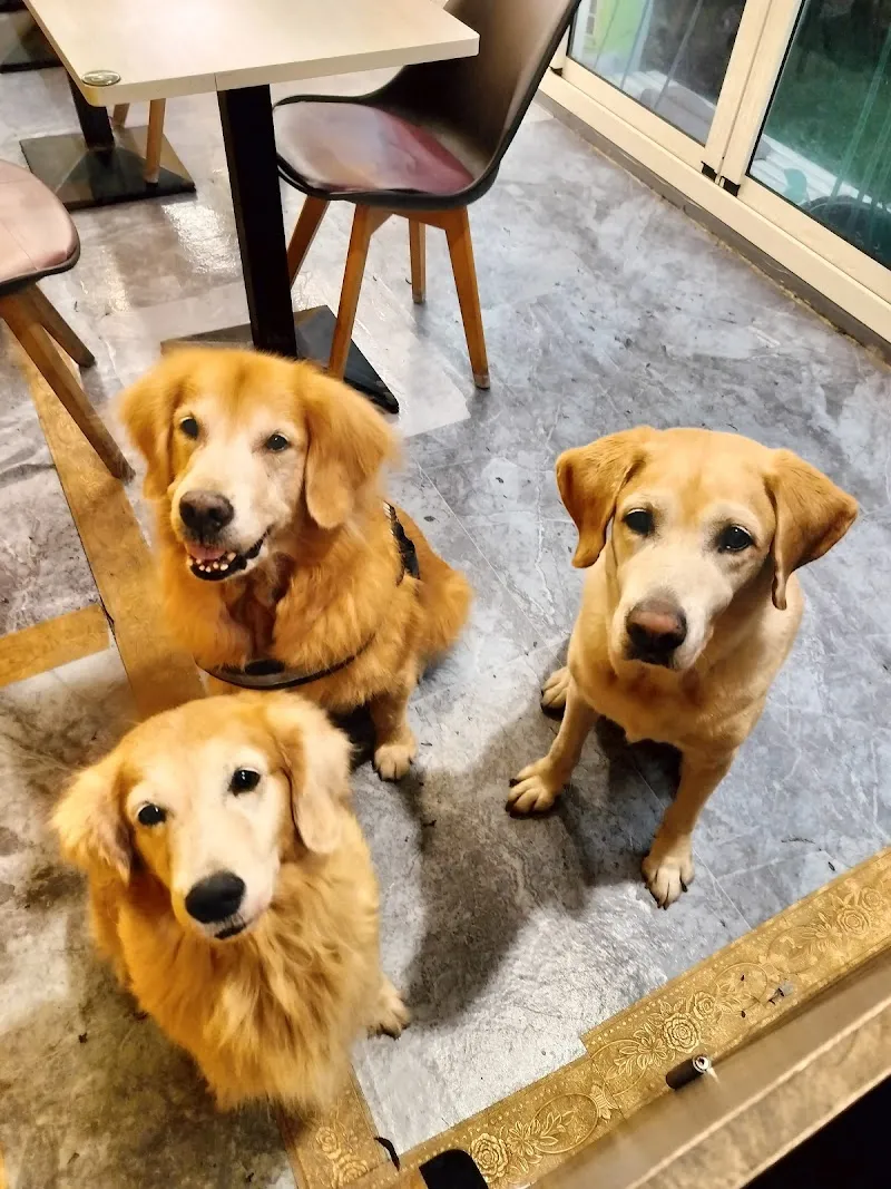 紫蘿蘭寵物餐廳