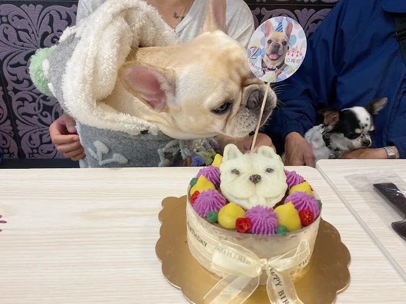 紫蘿蘭寵物餐廳