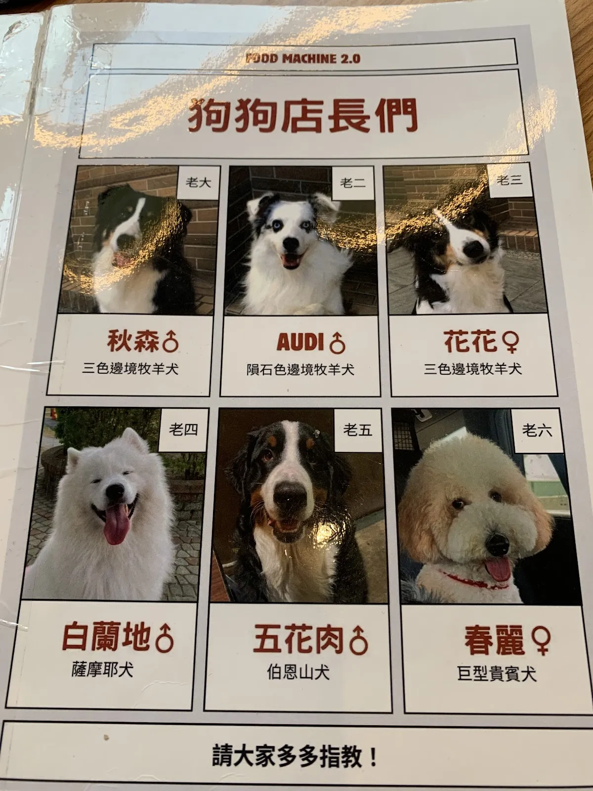 食。光機（寵物不落地）