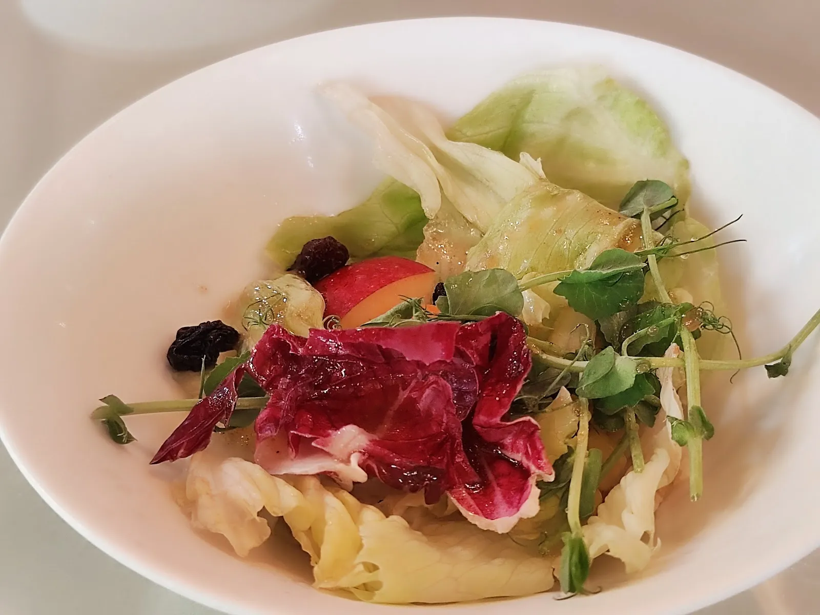 清惜的家 阿勃勒-必吃異國料理餐廳(桃園大園)好吃義式料理餐廳餐點 下午茶飲咖啡 家庭聚會公司聚餐同學會地點餐廳 親子寵物友善 場地租借 包場服務 客製化自助餐服務 最美庭園花園景觀餐廳 紫藤花季阿勃勒花季餐廳