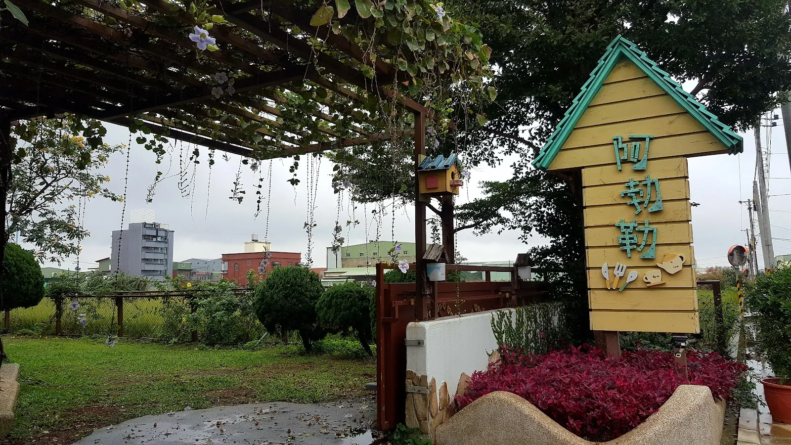 清惜的家 阿勃勒-必吃異國料理餐廳(桃園大園)好吃義式料理餐廳餐點 下午茶飲咖啡 家庭聚會公司聚餐同學會地點餐廳 親子寵物友善 場地租借 包場服務 客製化自助餐服務 最美庭園花園景觀餐廳 紫藤花季阿勃勒花季餐廳