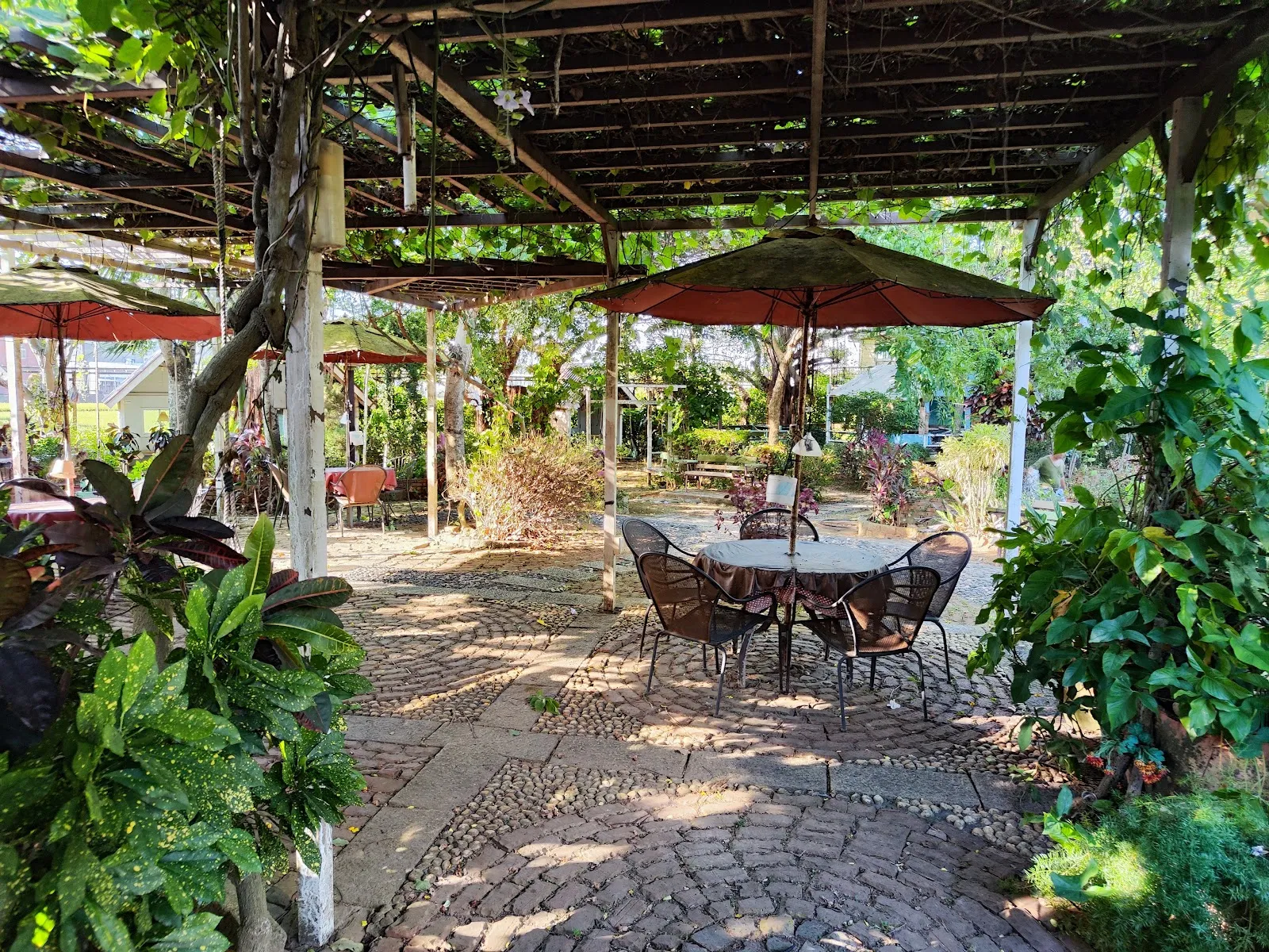 清惜的家 阿勃勒-必吃異國料理餐廳(桃園大園)好吃義式料理餐廳餐點 下午茶飲咖啡 家庭聚會公司聚餐同學會地點餐廳 親子寵物友善 場地租借 包場服務 客製化自助餐服務 最美庭園花園景觀餐廳 紫藤花季阿勃勒花季餐廳