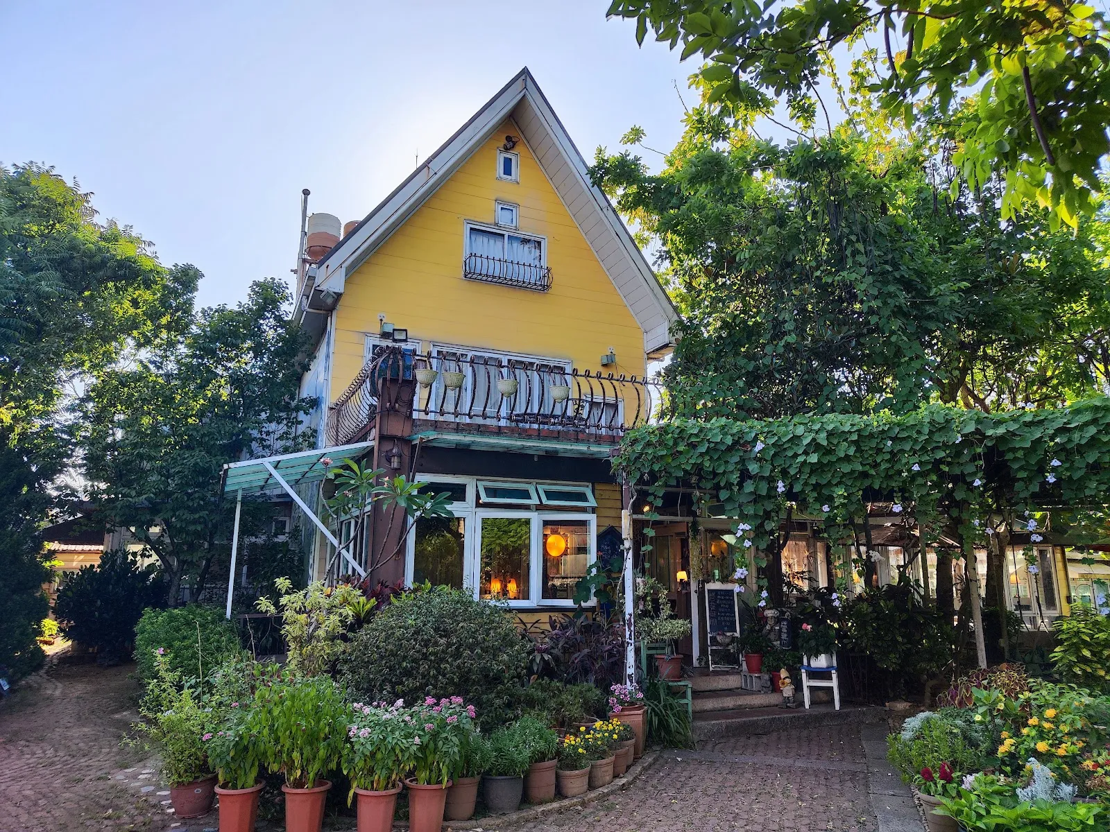 清惜的家 阿勃勒-必吃異國料理餐廳(桃園大園)好吃義式料理餐廳餐點 下午茶飲咖啡 家庭聚會公司聚餐同學會地點餐廳 親子寵物友善 場地租借 包場服務 客製化自助餐服務 最美庭園花園景觀餐廳 紫藤花季阿勃勒花季餐廳