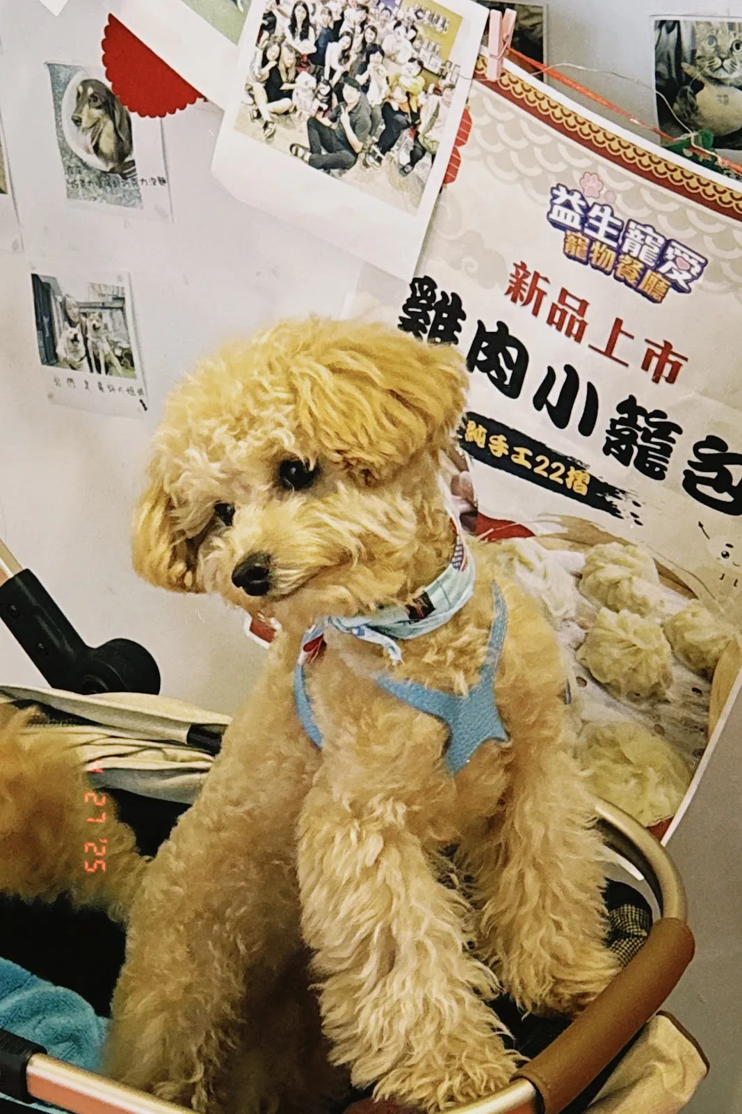 臺北市寵物友善餐廳協會