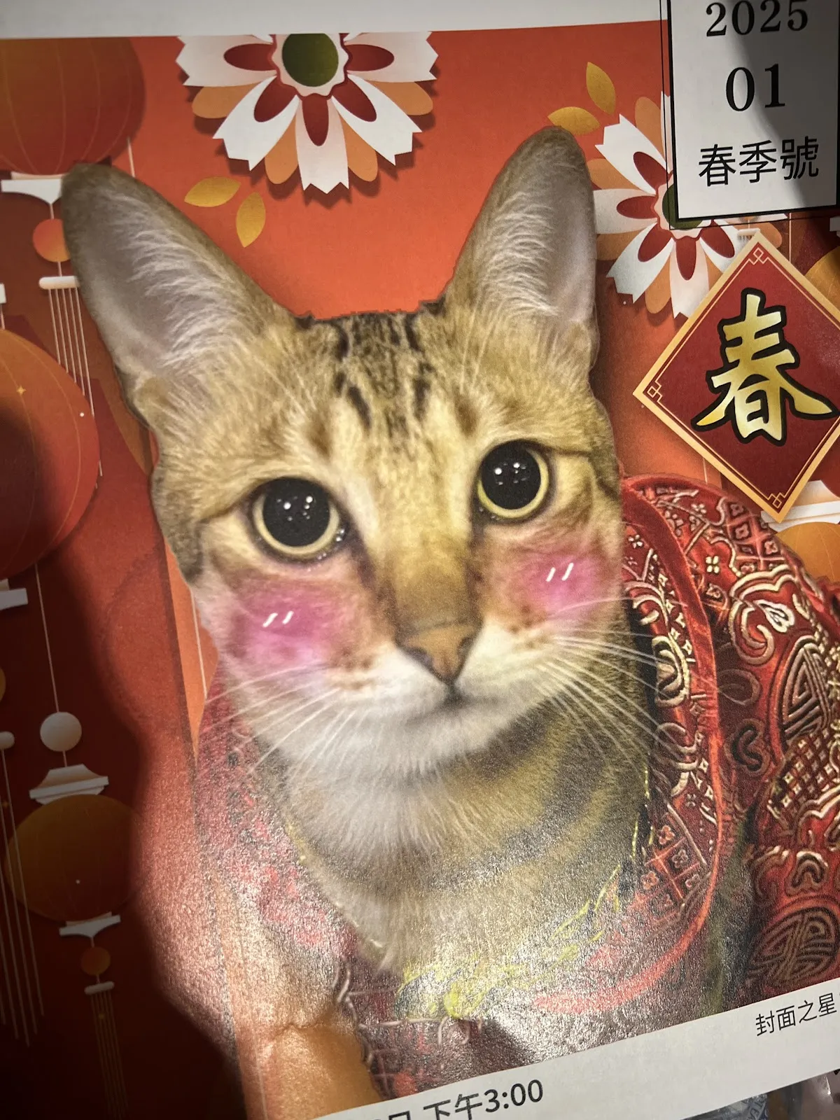 臺北市寵物友善餐廳協會