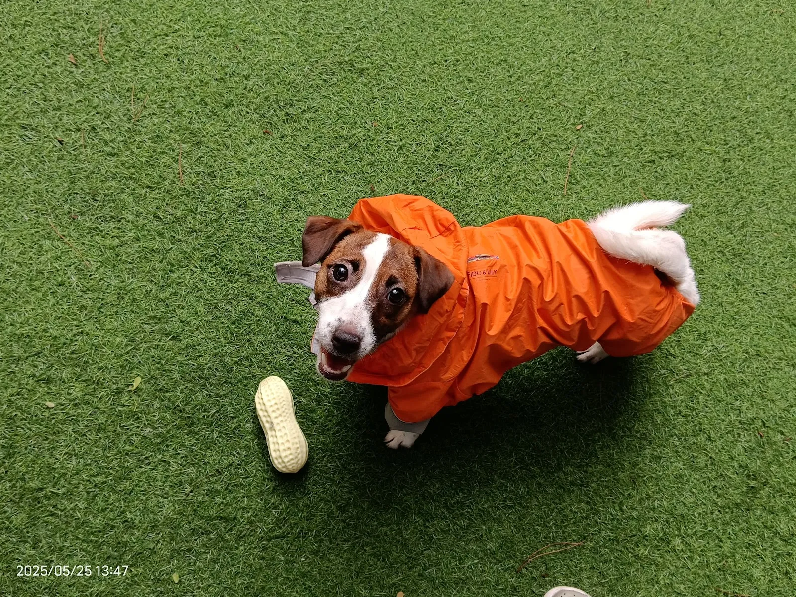 臺北市寵物友善餐廳協會