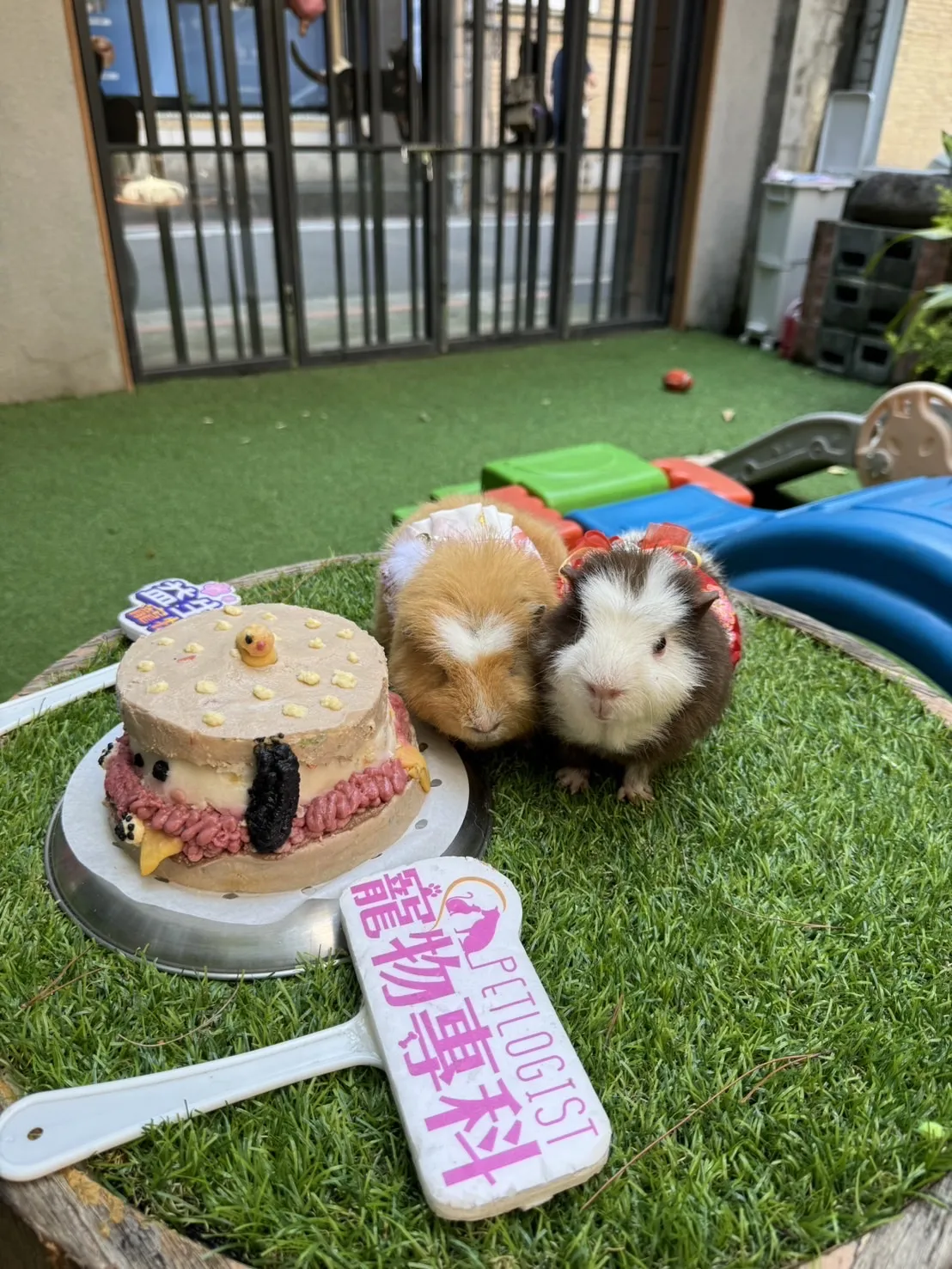 臺北市寵物友善餐廳協會