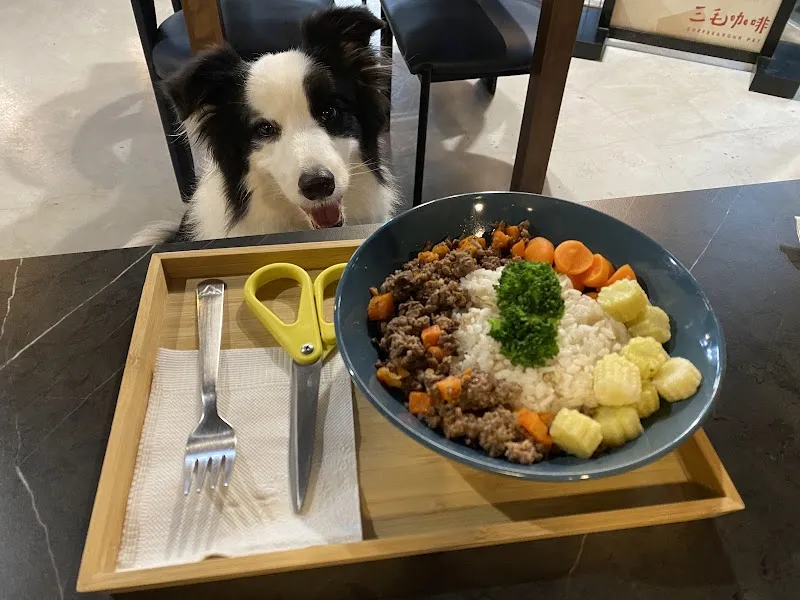 三毛咖啡 寵物友善餐廳
