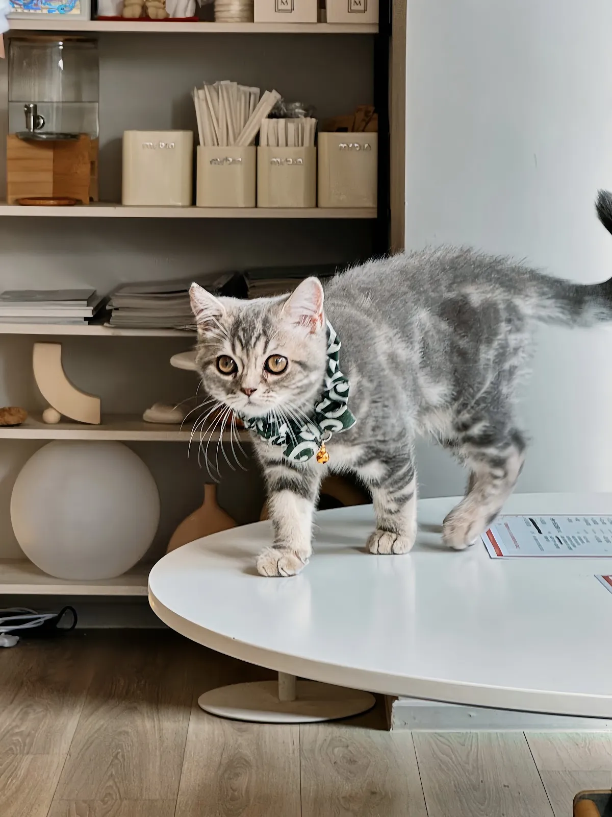 MUYI CAFE 木易咖啡｜寵物友善