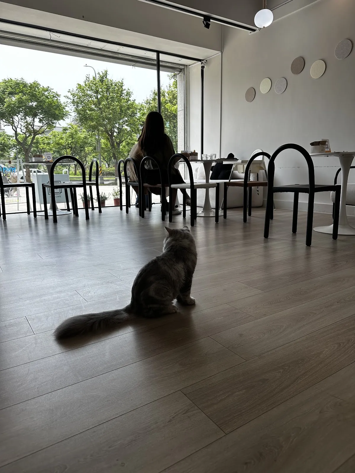 MUYI CAFE 木易咖啡｜寵物友善