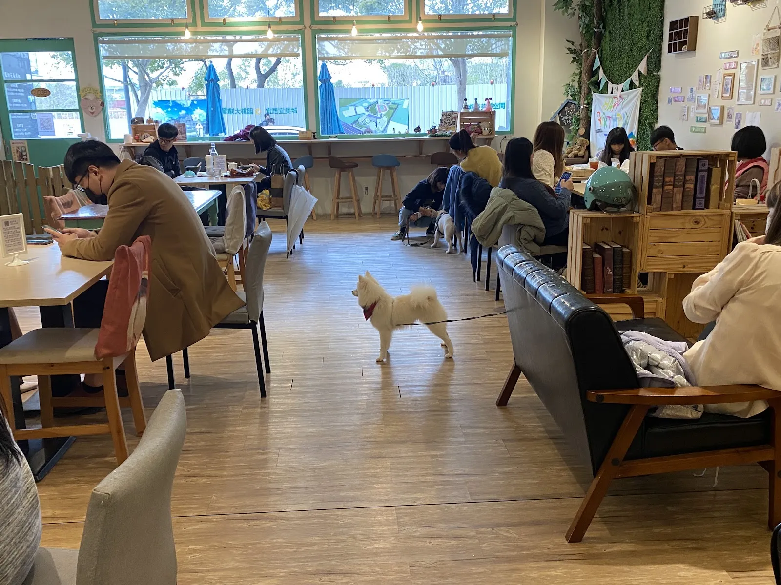 莫平方寵物咖啡廳