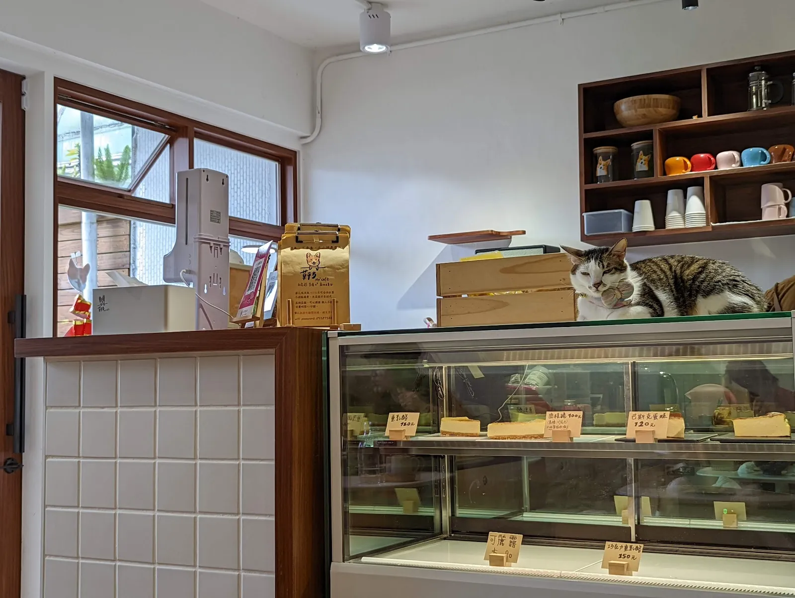 莫平方寵物咖啡廳