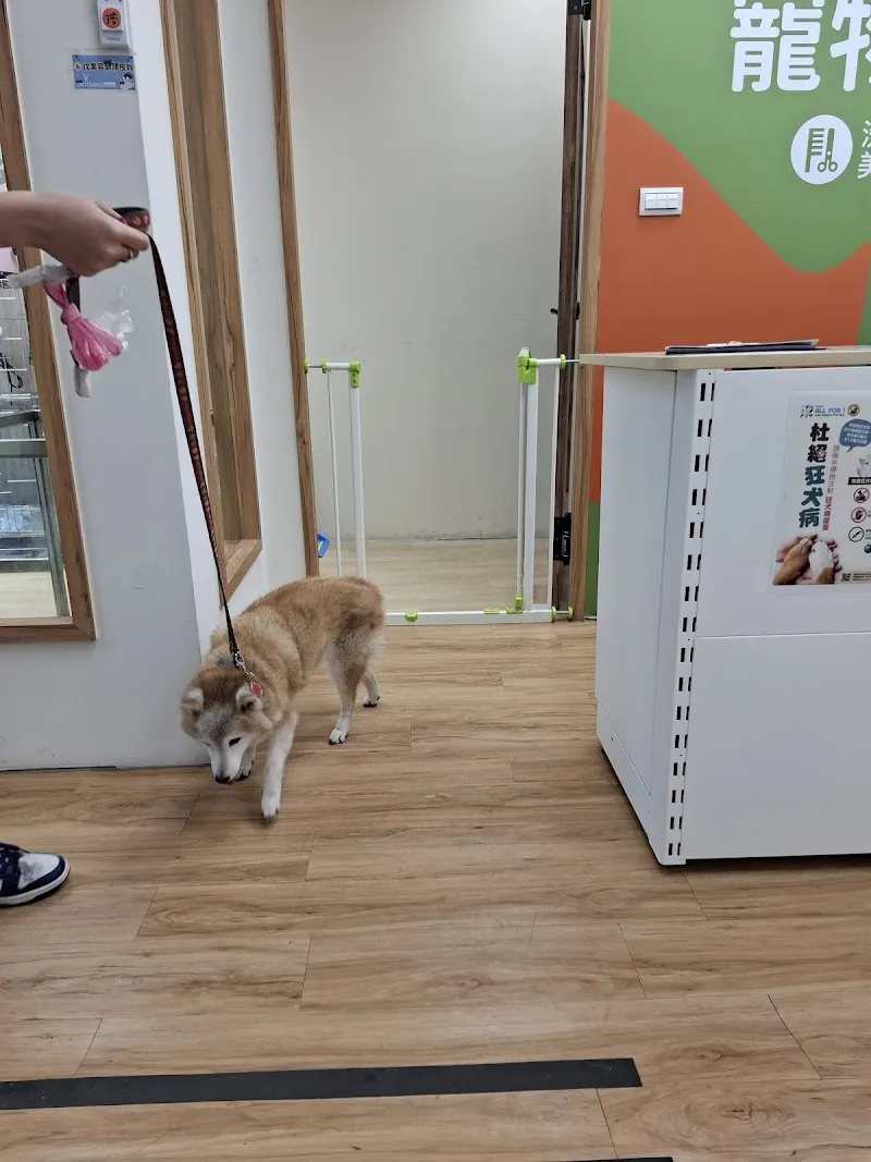 寵物公園(彰化員林店) - 專業寵物用品&寵物美容