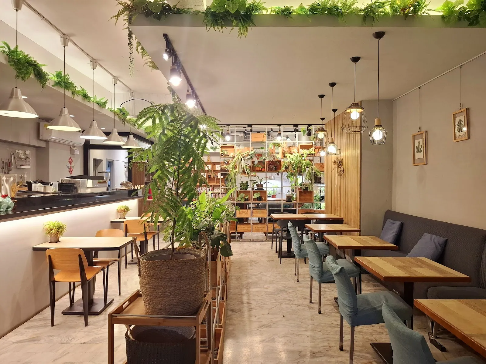 他。植物咖啡 He Coffee.