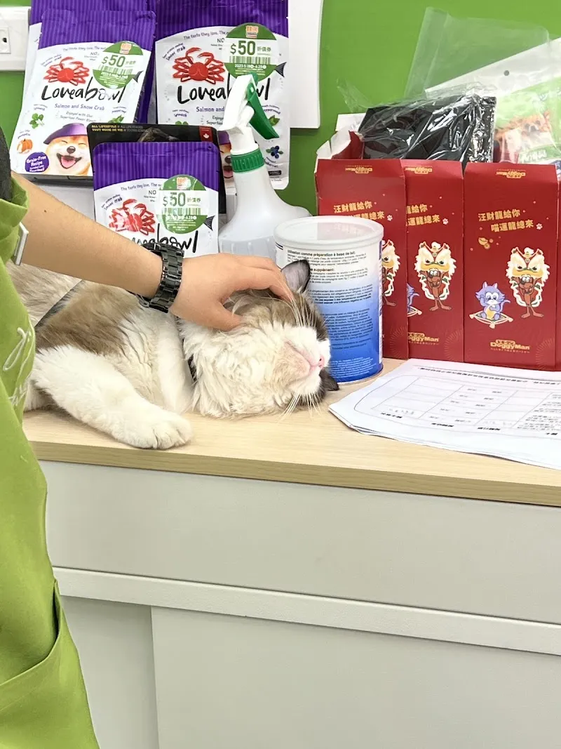 寵物公園(雲林斗南店)