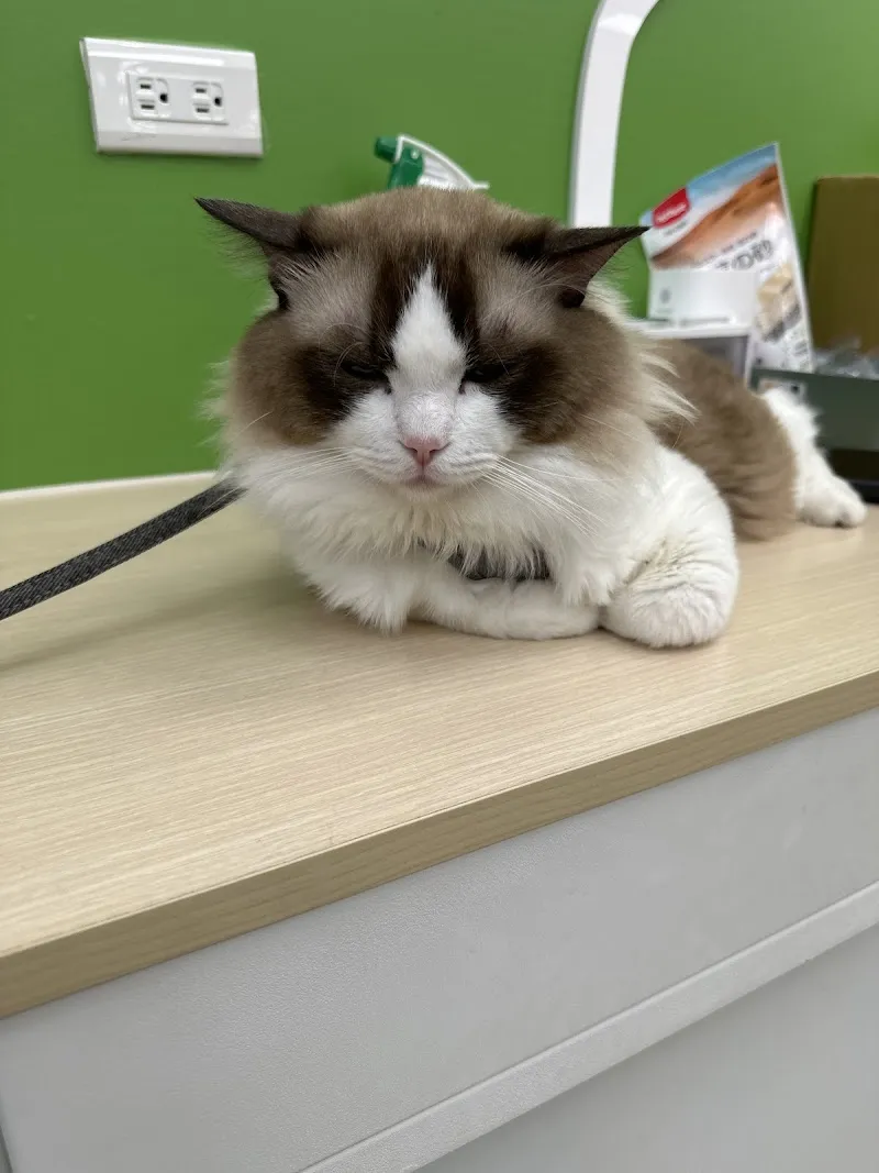 寵物公園(雲林斗南店)