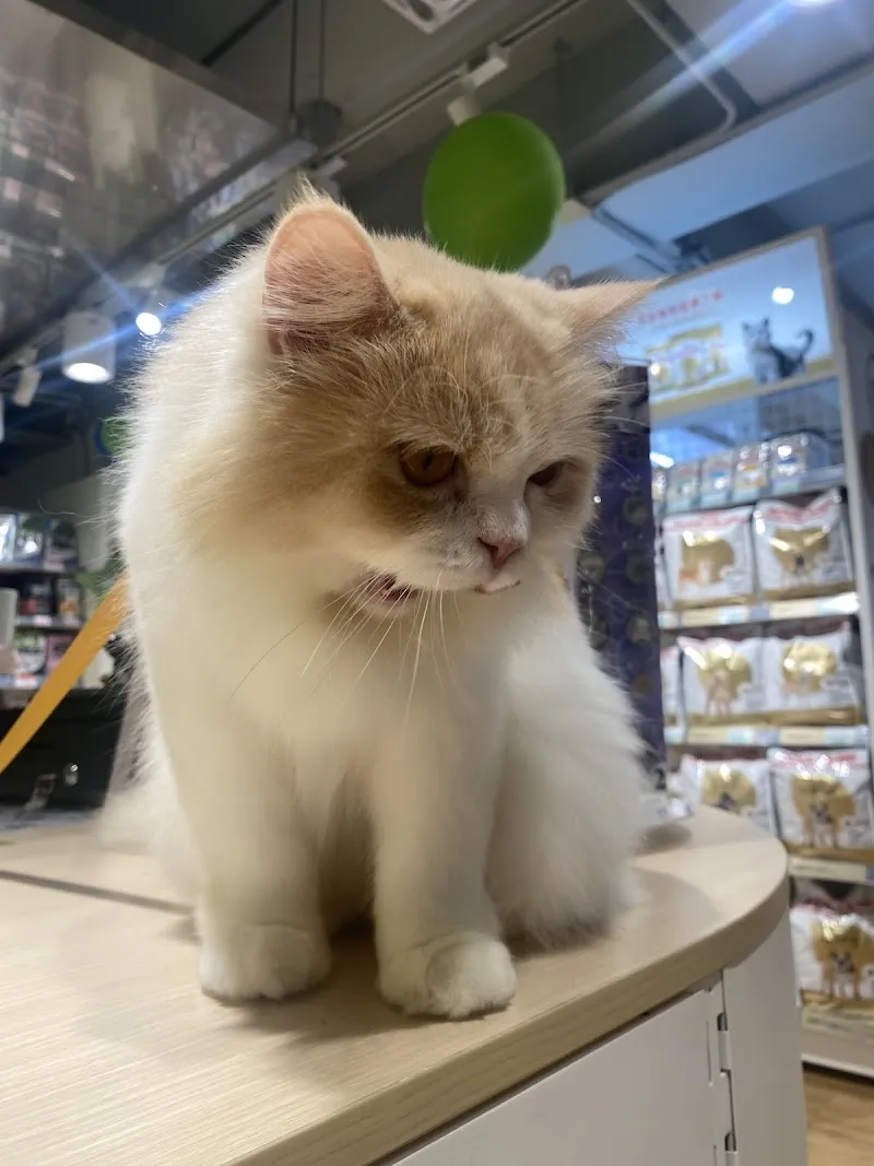 寵物公園(中山錦州店) - 專業寵物用品&寵物美容