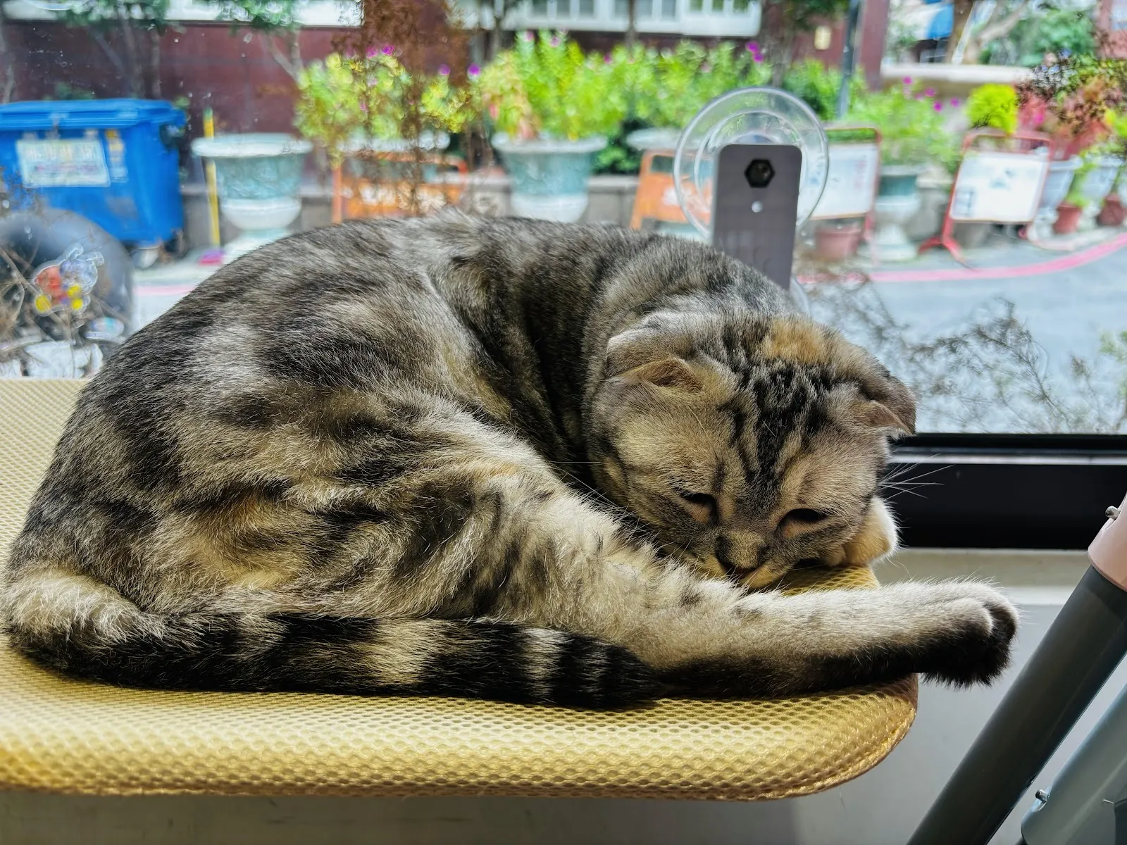 森林小徑-健行店