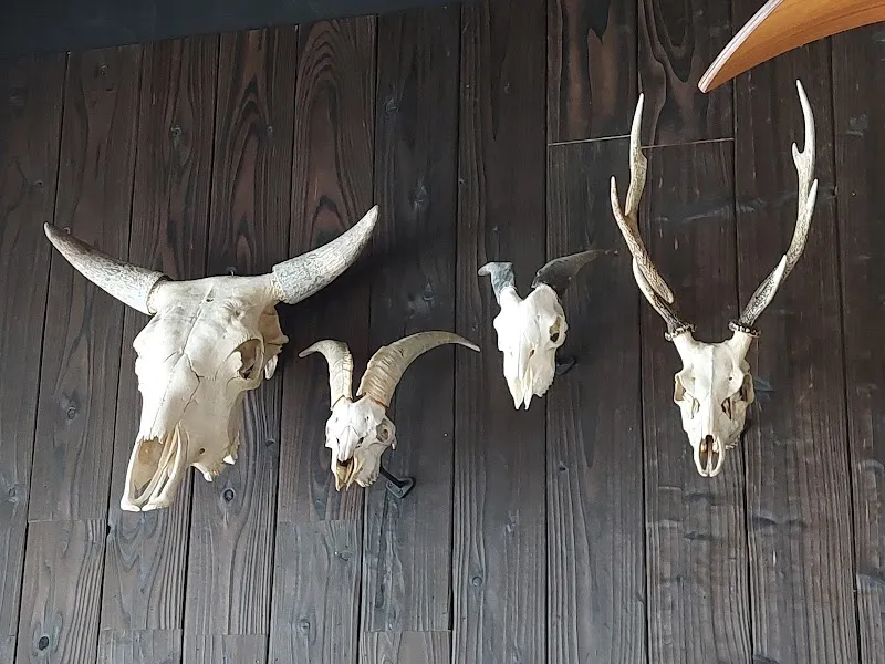 Ranger land 探險俱樂部｜瑪芬夾餅｜南洋麵食｜早午餐｜派對包場｜寵物友善