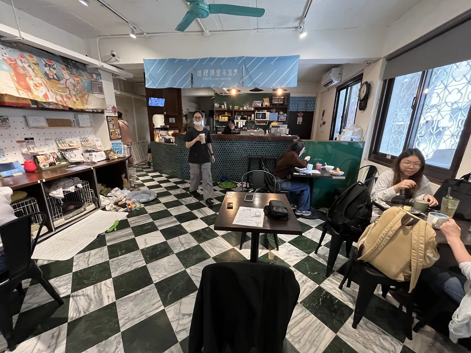 浪浪別哭（不能攜帶寵物）