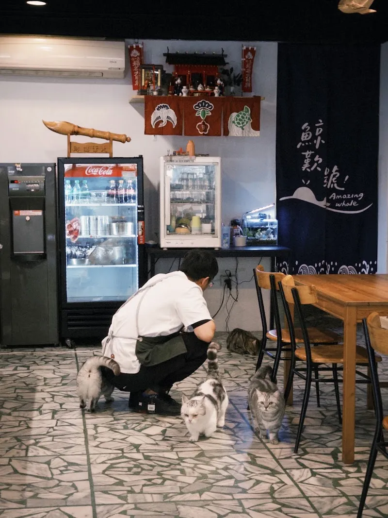鯨歎號-板橋健康餐盒|寵物餐廳|親子餐廳|親子友善|寵物友善