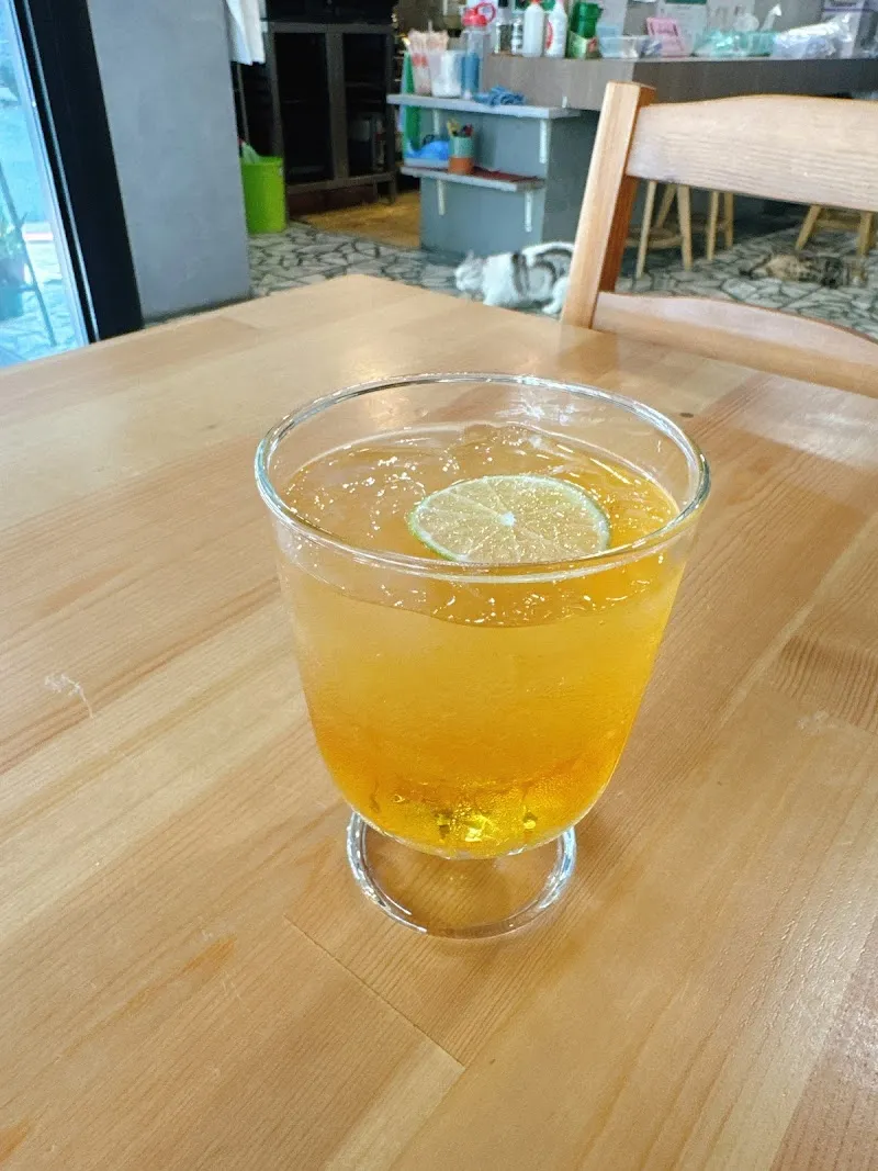 鯨歎號-板橋健康餐盒|寵物餐廳|親子餐廳|親子友善|寵物友善