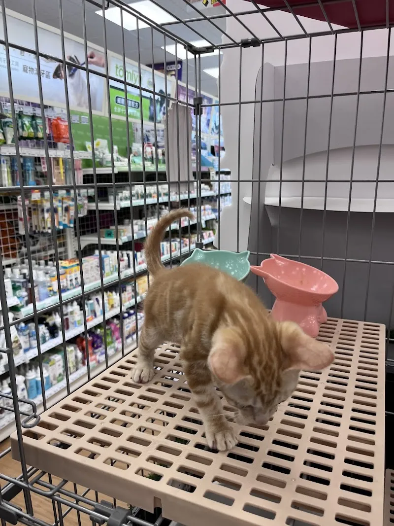 寵物公園(台中大里店) - 專業寵物用品&寵物美容