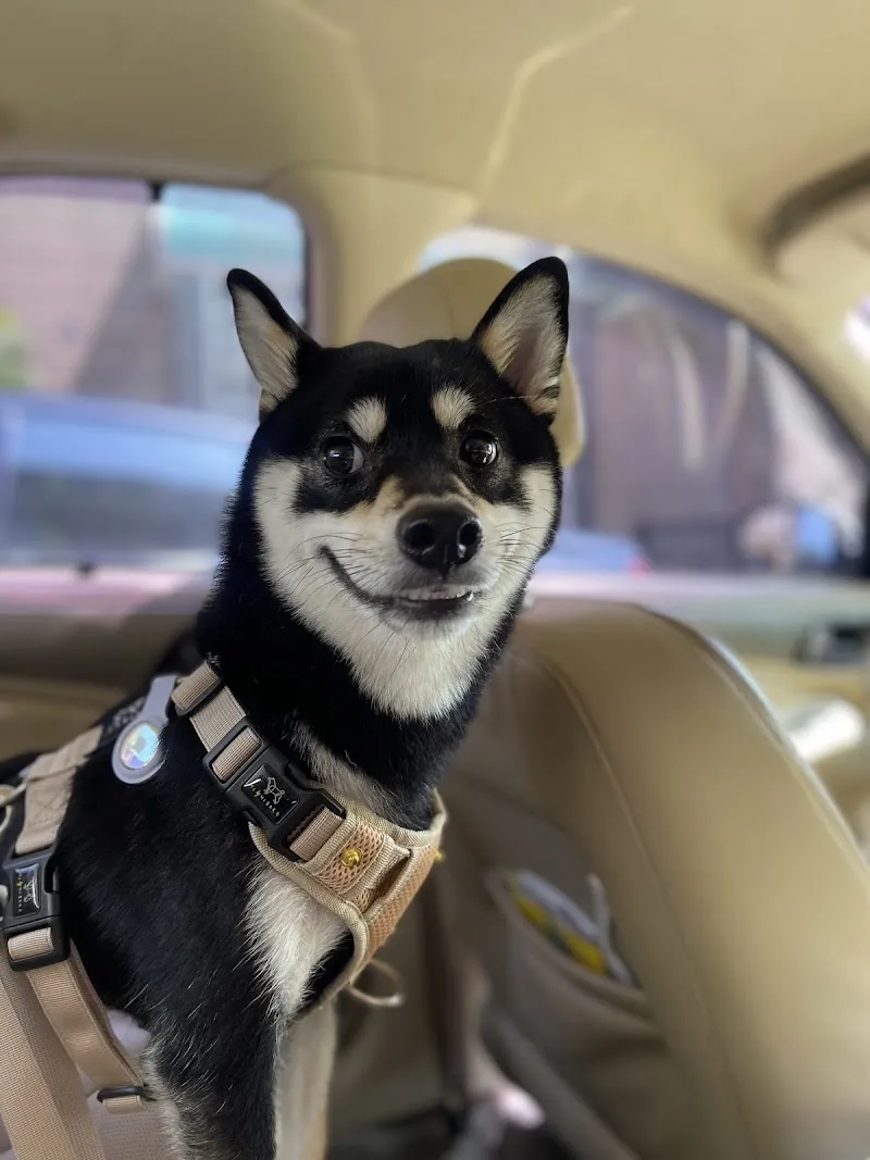 寵物公園(台北南港店)