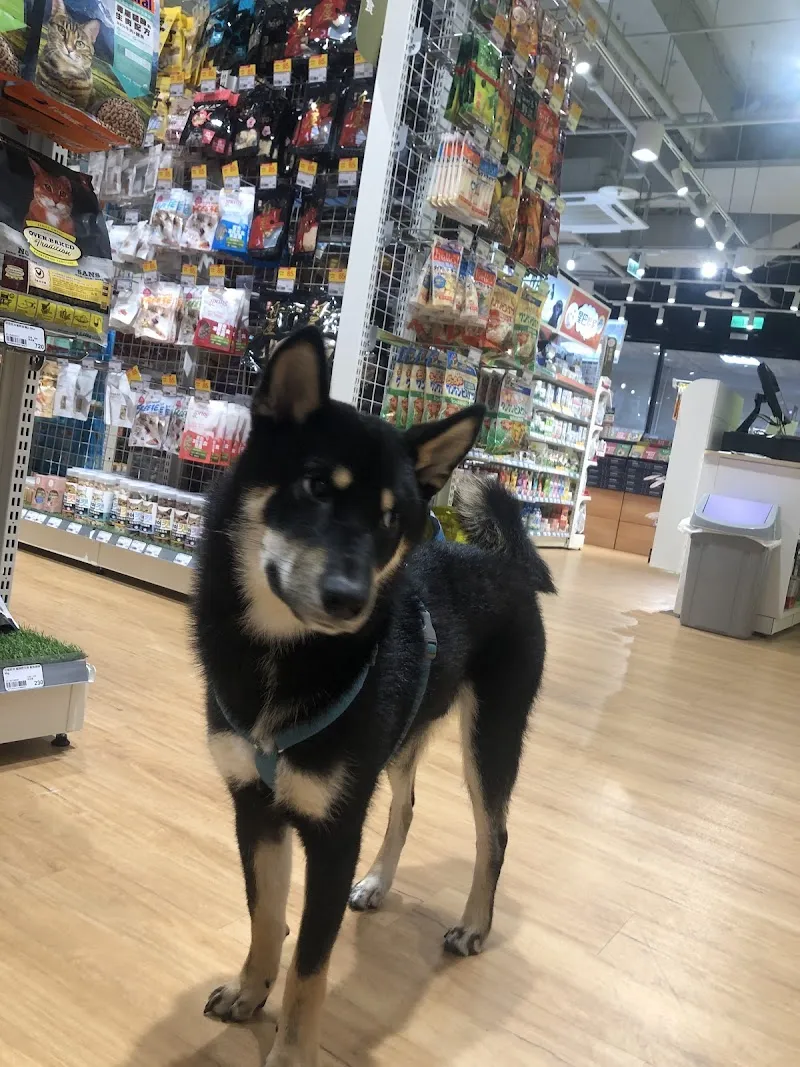 寵物公園(台北南港店)