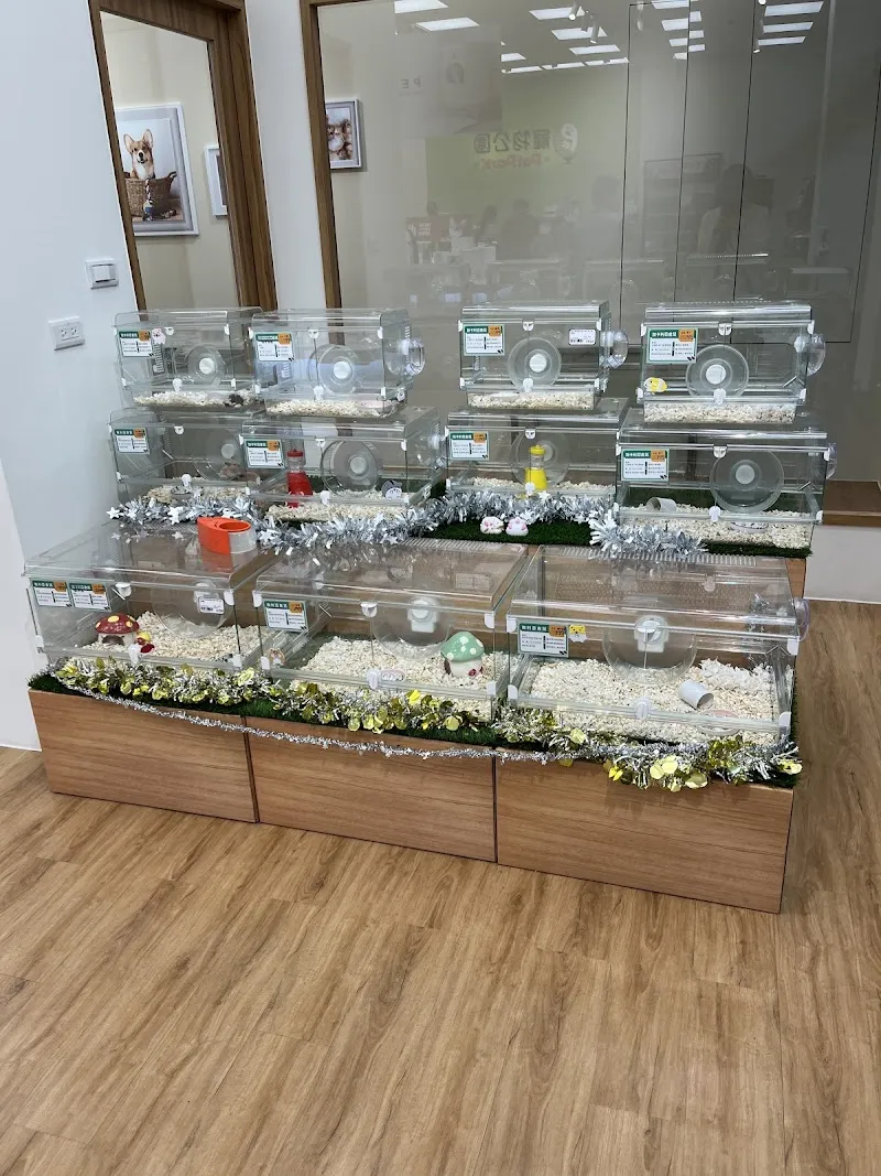 萬達寵物事業股份有限公司台南新營分公司