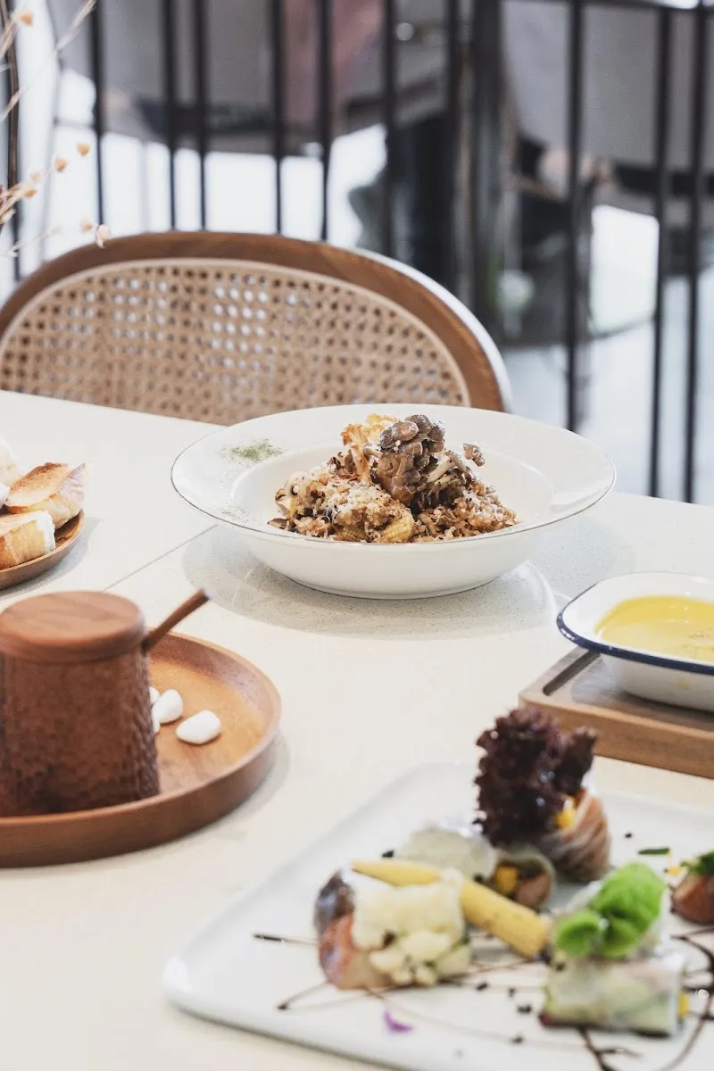 多野樂旅館 Dogether Hotel－寵物友善旅館〡寵物美容〡寵物泳池