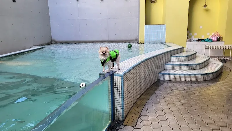 多野樂旅館 Dogether Hotel－寵物友善旅館〡寵物美容〡寵物泳池