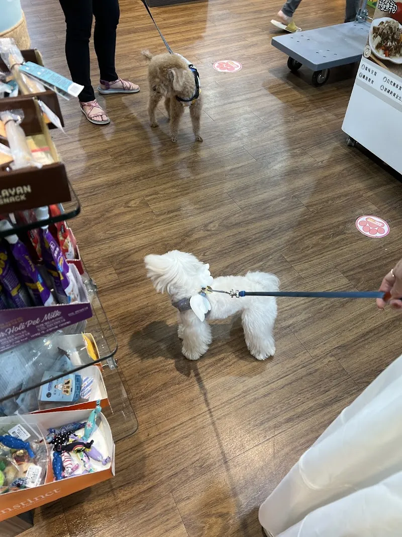 寵物公園(漢口店) - 專業寵物用品&寵物美容