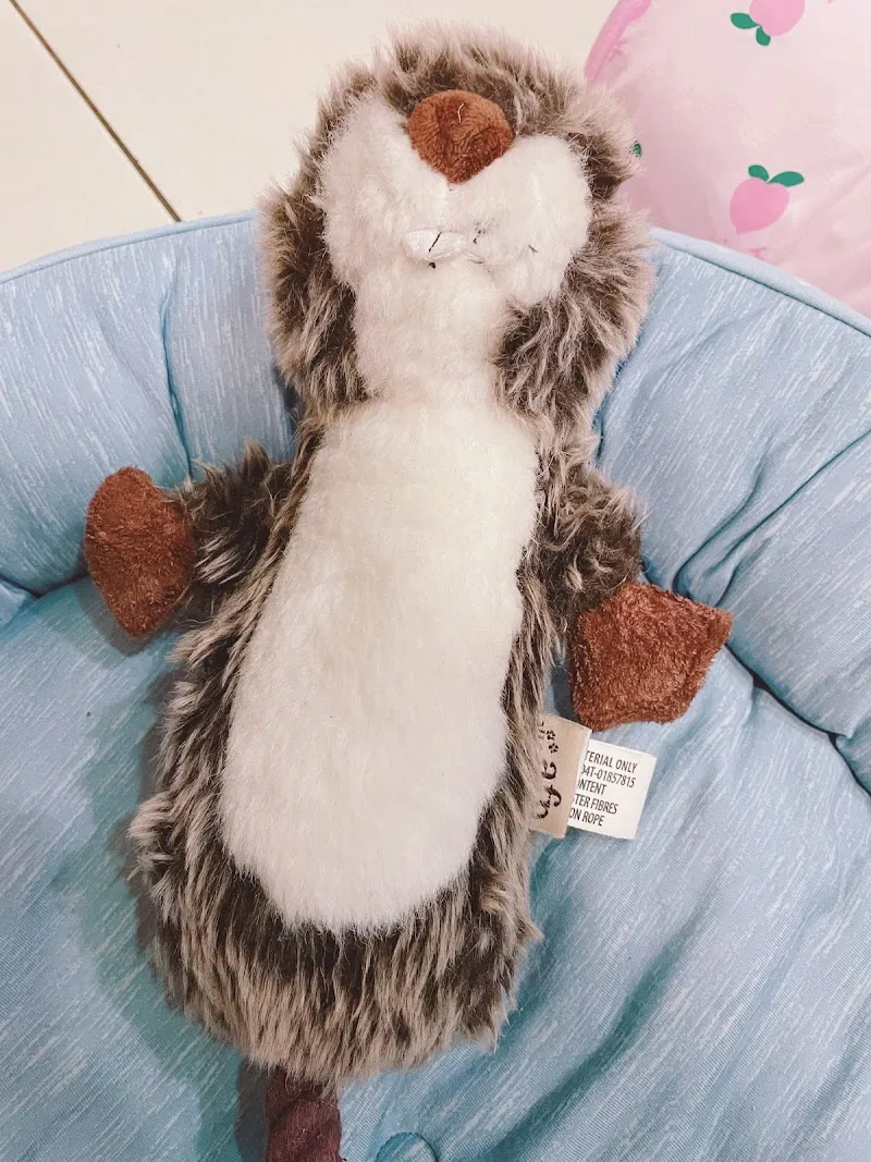 寵物公園(漢口店) - 專業寵物用品&寵物美容