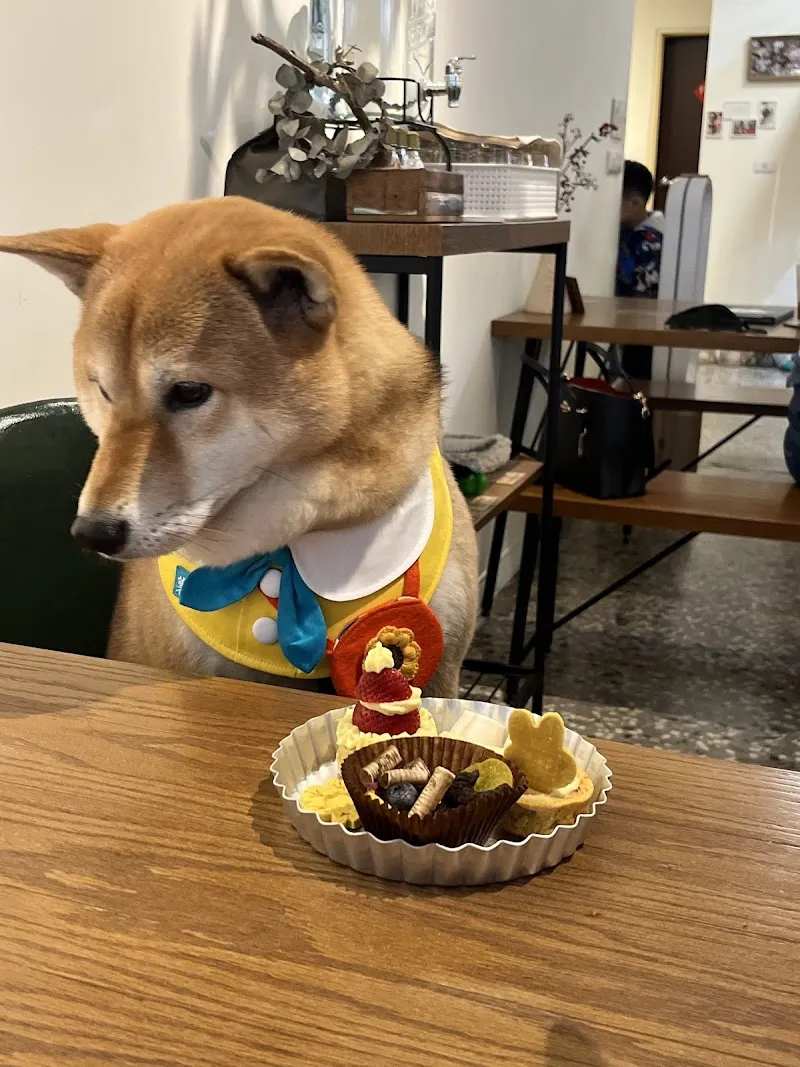 胖屋·胖子手作甜點｜臘腸狗店長｜寵物友善店家