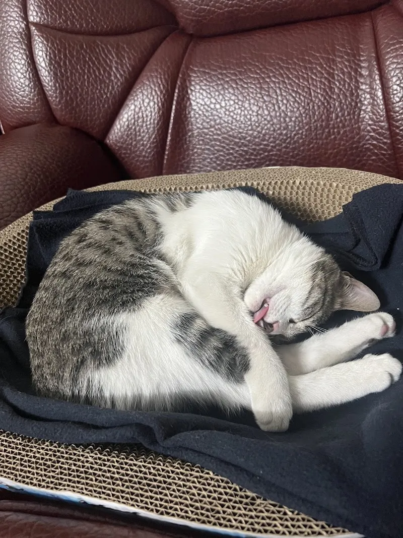 寵物公園(高雄岡山店) - 專業寵物用品&寵物美容