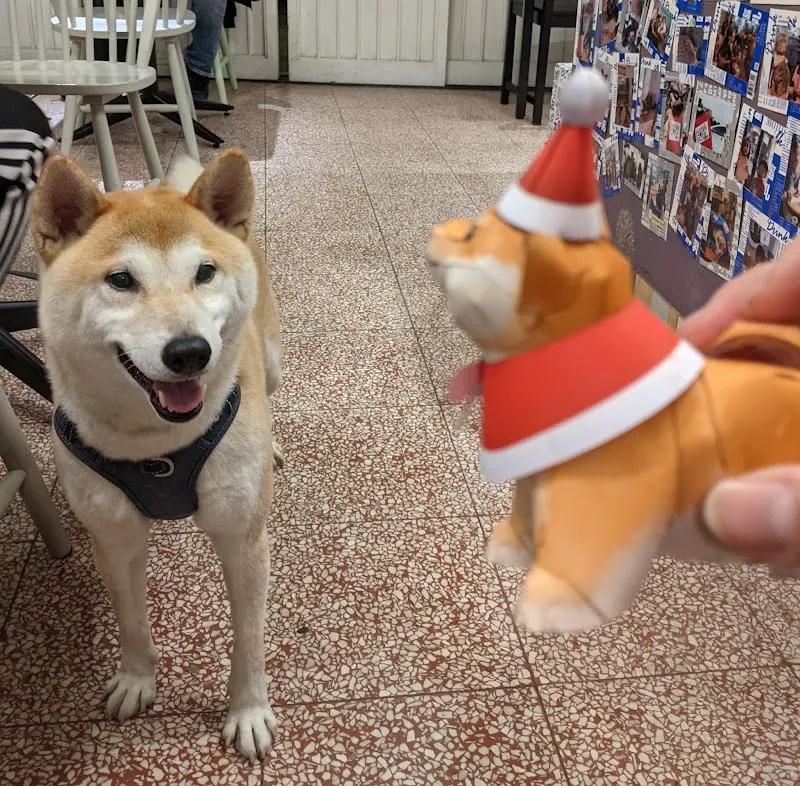 寒咖啡_寵物友善