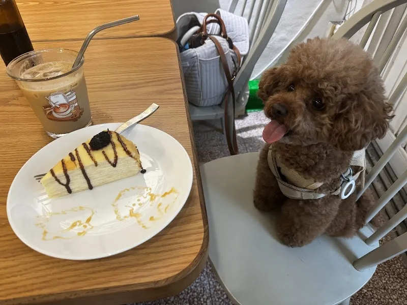 寒咖啡_寵物友善