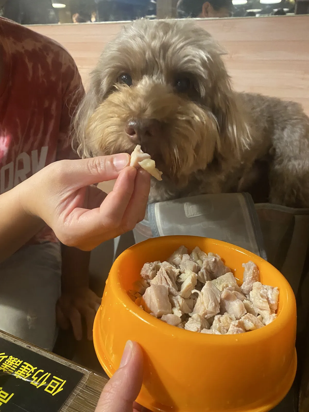 饗醬燒烤【中和店】