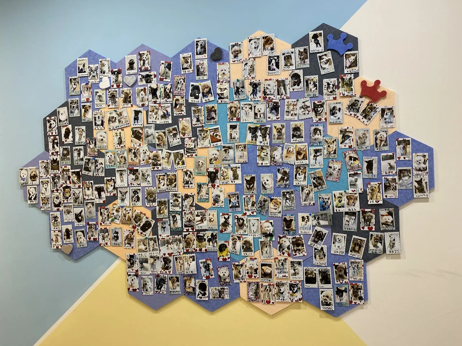 歐培牧寵物餐廳（寵物可落地）/寵物友善/早午餐/下午茶/晚餐/寵物零食/寵物鮮食/寵物餐