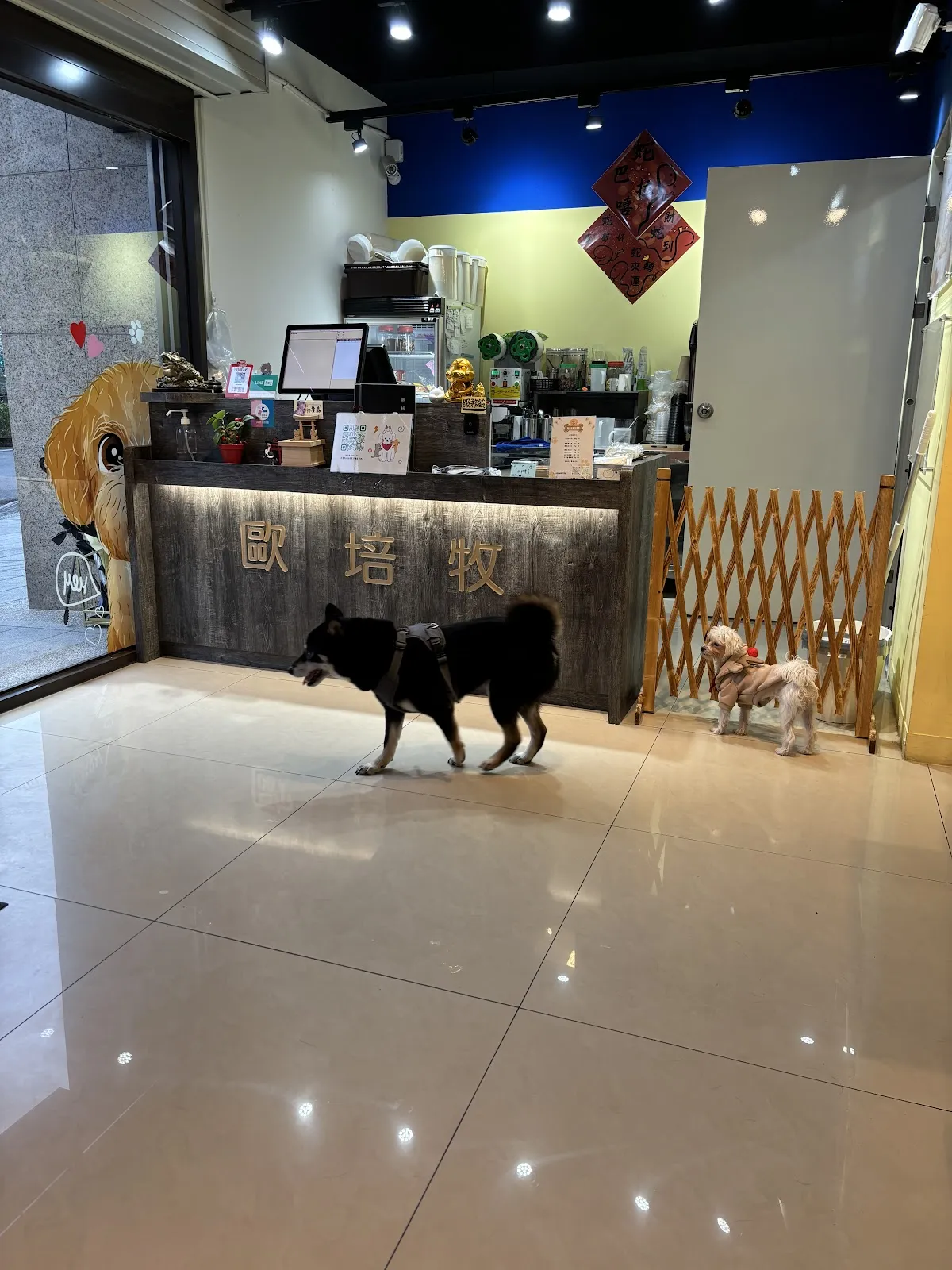 歐培牧寵物餐廳（寵物可落地）/寵物友善/早午餐/下午茶/晚餐/寵物零食/寵物鮮食/寵物餐