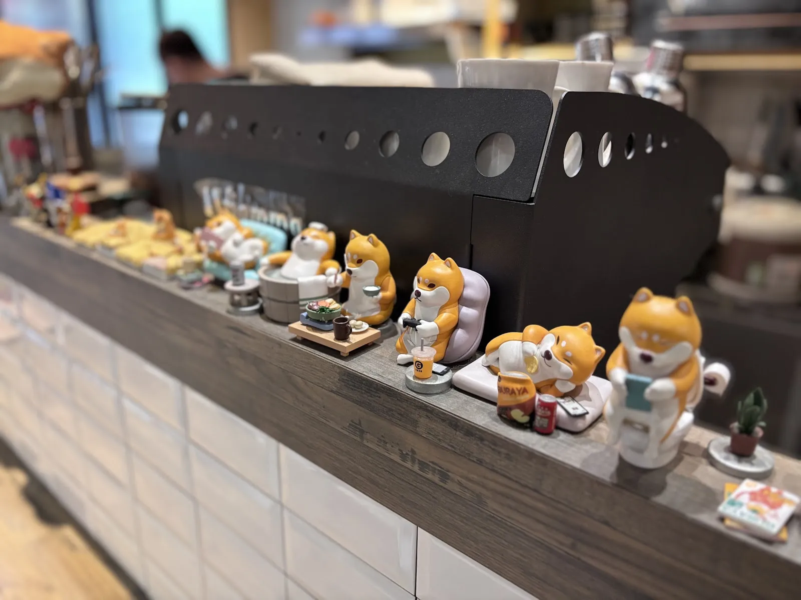 捲尾巴寵物餐廳/可落地放繩跑跑/柴犬餐廳(店狗已退休)