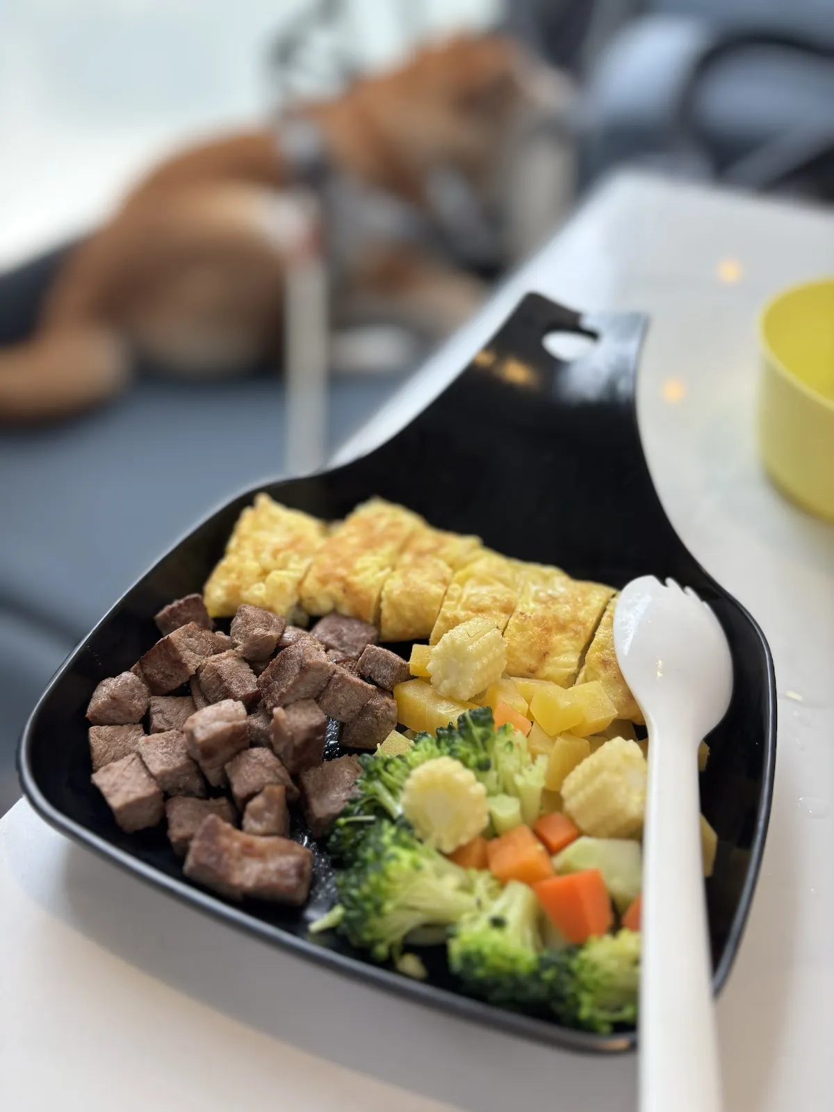 踏踏地球 Ta Ta Earth ｜親子寵物友善餐廳｜包場派對｜寵物美容 ｜寵物安親｜寵物住宿｜