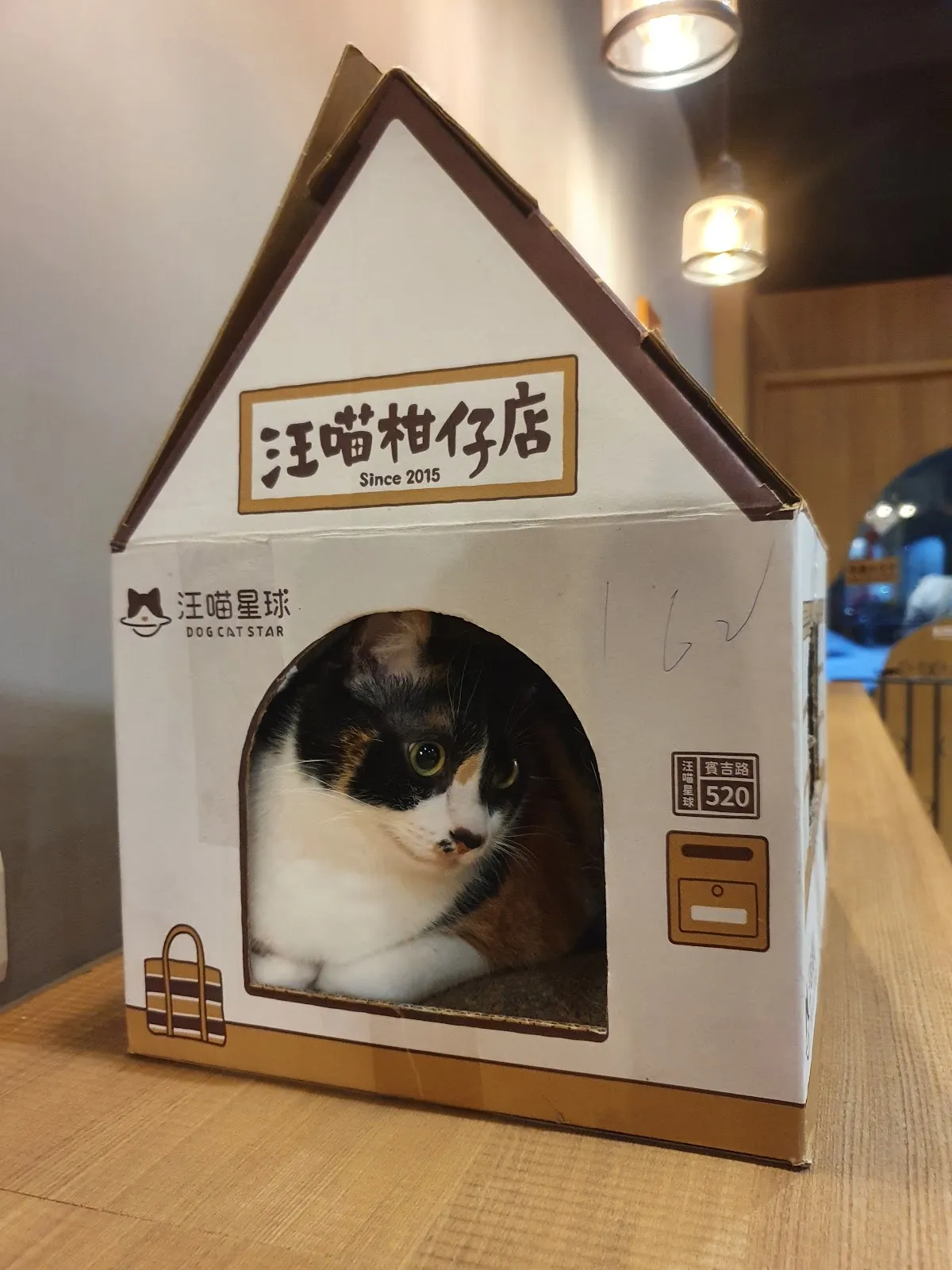 汪森市WonderCoffee