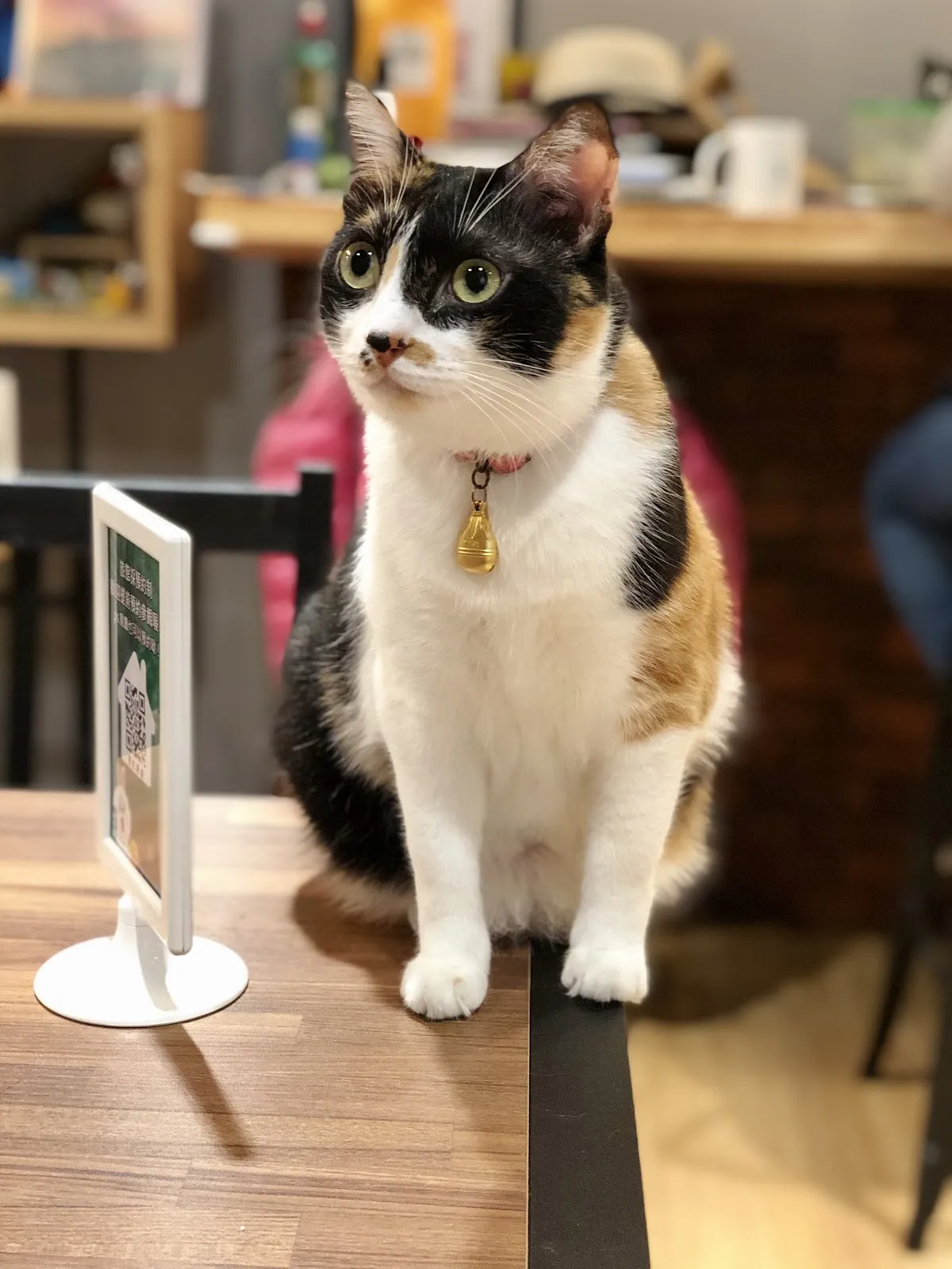 汪森市WonderCoffee