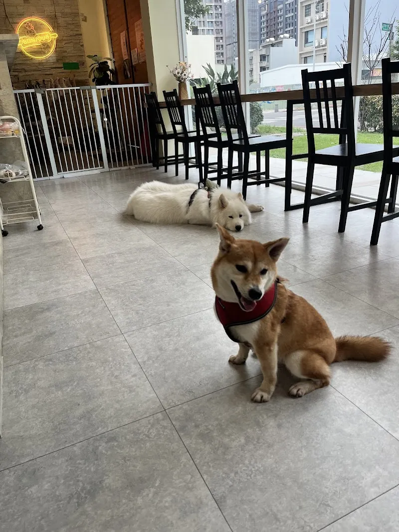 Bonjour Cheby 蹦啾柴比友善餐廳（親子寵物友善）