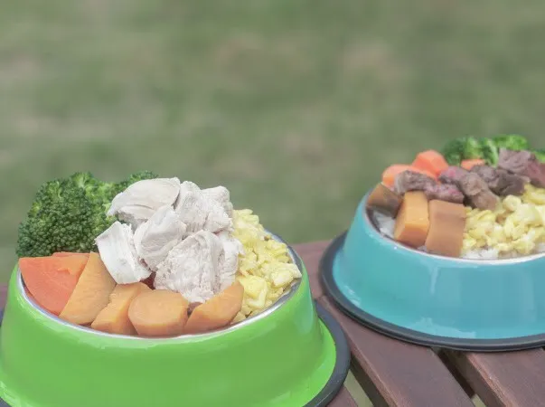 Bonjour Cheby 蹦啾柴比友善餐廳（親子寵物友善）