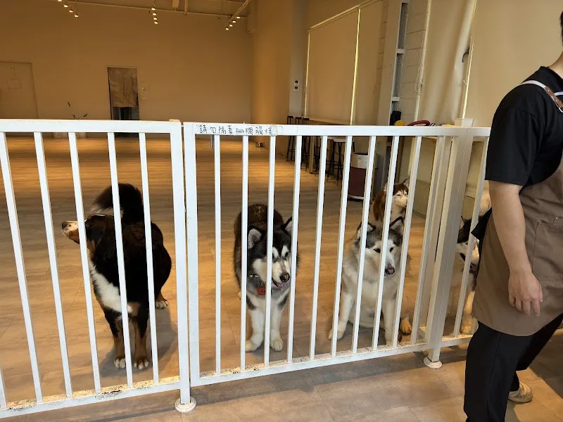 NAGO NAGO-寵物友善餐廳